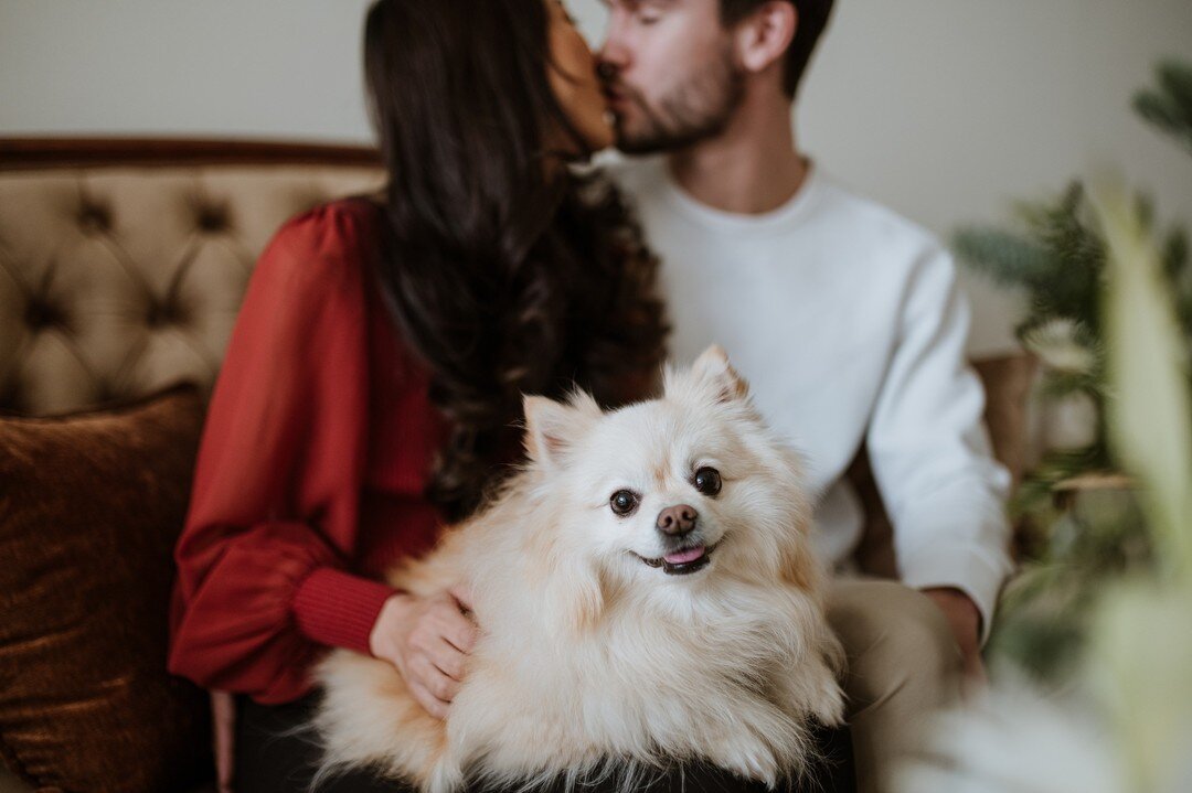 Real talk: I'm always going to say yes if you ask to bring along your pet for your session. Whether that be dog, cat, rabbit, lizard, or my personal favorite: chicken.

The floof you're currently beholding is Kona&mdash;who absolutely stole my heart.